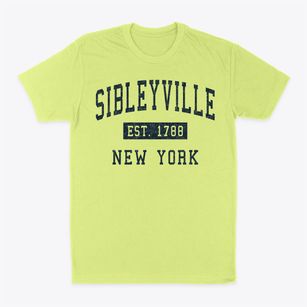 Sibleyville New York Classic Established Classic Dad T-Shirt