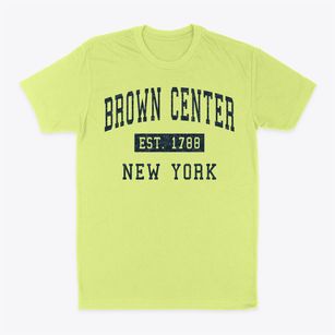 Brown Center New York Classic Established Classic Dad T-Shirt