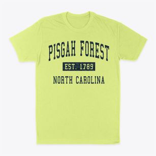 Pisgah Forest North Carolina Classic Established Classic Dad T-Shirt