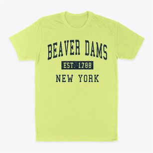 Beaver Dams New York Classic Established Classic Dad T-Shirt