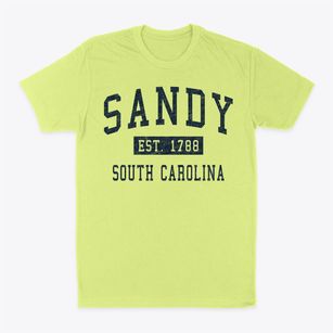 Sandy South Carolina Classic Established Classic Dad T-Shirt