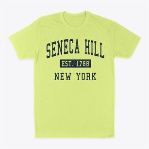 Seneca Hill New York Classic Established Classic Dad T-Shirt