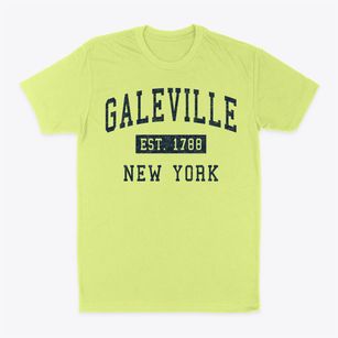 Galeville New York Classic Established Classic Dad T-Shirt