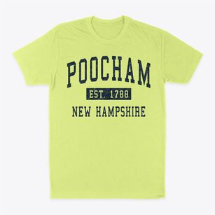 Poocham New Hampshire Classic Established Classic Dad T-Shirt