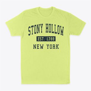 Stony Hollow New York Classic Established Classic Dad T-Shirt