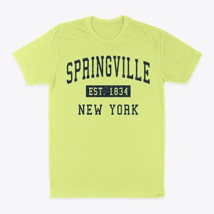 Springville New York Classic Established Classic Dad T-Shirt