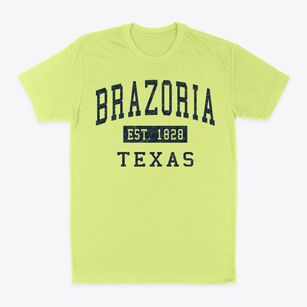 Brazoria Texas Classic Established Classic Dad T-Shirt