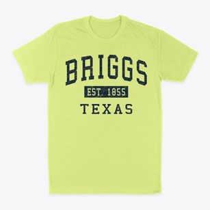 Briggs Texas Classic Established Classic Dad T-Shirt