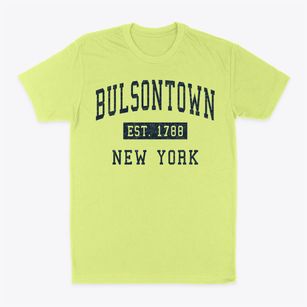 Bulsontown New York Classic Established Classic Dad T-Shirt