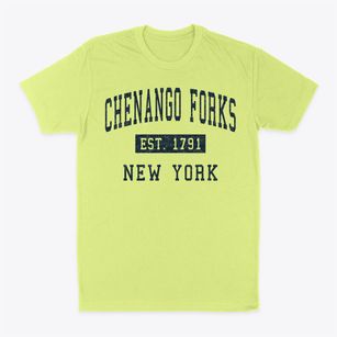 Chenango Forks New York Classic Established Classic Dad T-Shirt