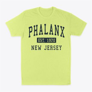 Phalanx New Jersey Classic Established Classic Dad T-Shirt