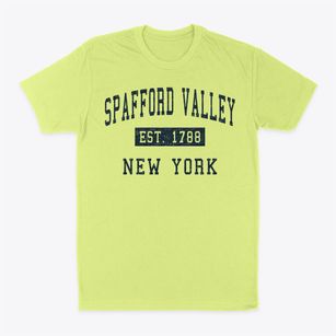 Spafford Valley New York Classic Established Classic Dad T-Shirt