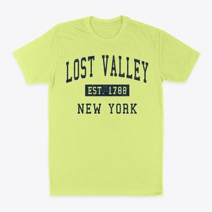 Lost Valley New York Classic Established Classic Dad T-Shirt