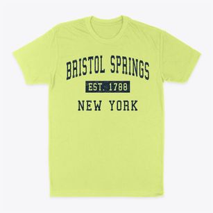 Bristol Springs New York Classic Established Classic Dad T-Shirt