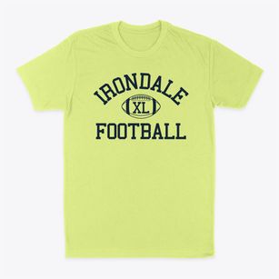 Irondale Community School Classic Football Classic Dad T-Shirt