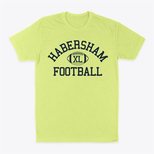 The Habersham School Classic Football Classic Dad T-Shirt