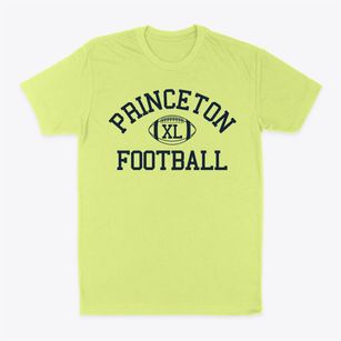 Princeton Community High School Classic Football Classic Dad T-Shirt