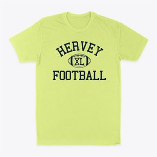 Hervey Primary School Classic Football Classic Dad T-Shirt