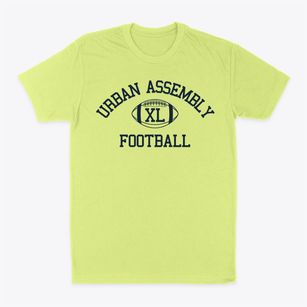 Urban Assembly Law & Justice Classic Football Classic Dad T-Shirt
