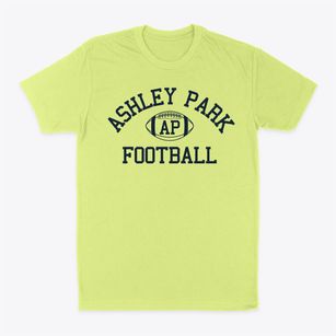 Ashley Park Prek-8 School Classic Football Classic Dad T-Shirt