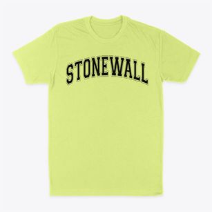 Stonewall Elementary School Varsity Arch Classic Dad T-Shirt