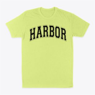 Harbor Montessori School Varsity Arch Classic Dad T-Shirt