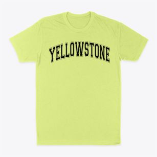 Yellowstone Elementary School Varsity Arch Classic Dad T-Shirt