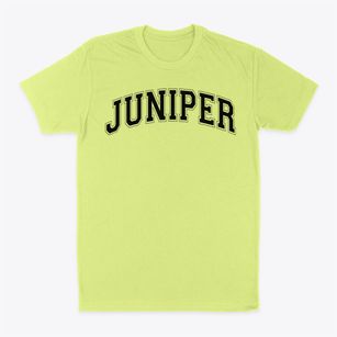 Juniper Elementary School Varsity Arch Classic Dad T-Shirt