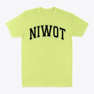 Niwot Elementary School Varsity Arch Classic Dad T-Shirt