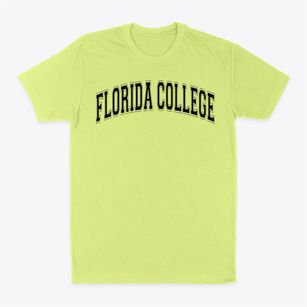 Florida College Academy Varsity Arch Classic Dad T-Shirt