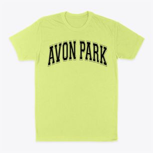 Avon Park Middle School Varsity Arch Classic Dad T-Shirt