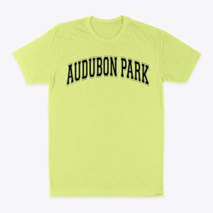 Audubon Park Elementary School Varsity Arch Classic Dad T-Shirt