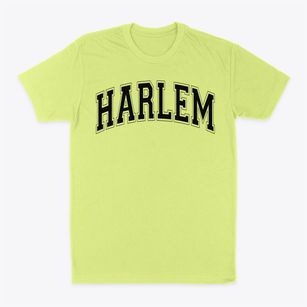 Harlem Middle School Varsity Arch Classic Dad T-Shirt