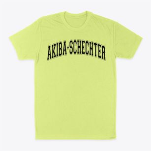Akiba-schechter Jewish Day School Varsity Arch Classic Dad T-Shirt