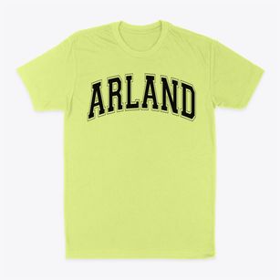 Arland D Williams Elementary School Varsity Arch Classic Dad T-Shirt
