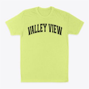 Valley View Elementary School Varsity Arch Classic Dad T-Shirt