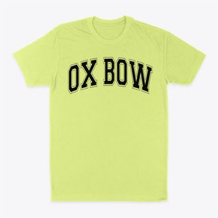 Ox Bow Elementary School Varsity Arch Classic Dad T-Shirt
