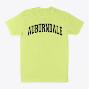 Auburndale Elementary School Varsity Arch Classic Dad T-Shirt