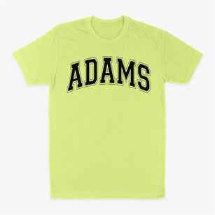 Adams Elementary School Varsity Arch Classic Dad T-Shirt