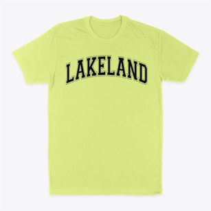 Lakeland Elementary School Varsity Arch Classic Dad T-Shirt