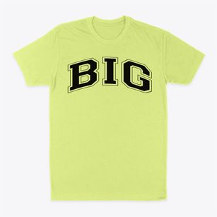 Big Burning Public School Varsity Arch Classic Dad T-Shirt