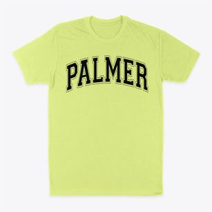 Palmer Elementary School Varsity Arch Classic Dad T-Shirt