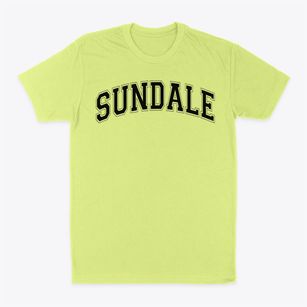 Sundale Elementary School Varsity Arch Classic Dad T-Shirt
