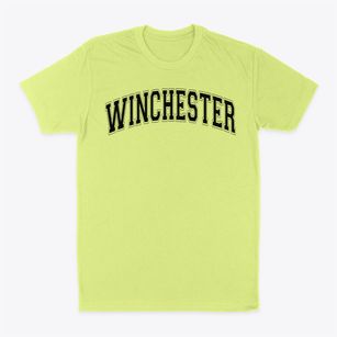Winchester Elementary School Varsity Arch Classic Dad T-Shirt