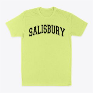 Salisbury Elementary School Varsity Arch Classic Dad T-Shirt
