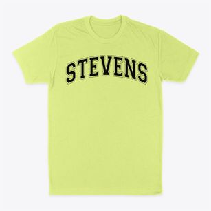 Stevens High School Varsity Arch Classic Dad T-Shirt