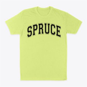 Spruce Elementary School Varsity Arch Classic Dad T-Shirt