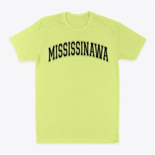 Mississinawa Valley High School Varsity Arch Classic Dad T-Shirt