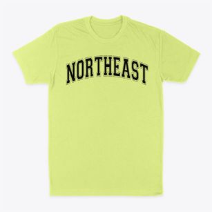Northeast High School Varsity Arch Classic Dad T-Shirt