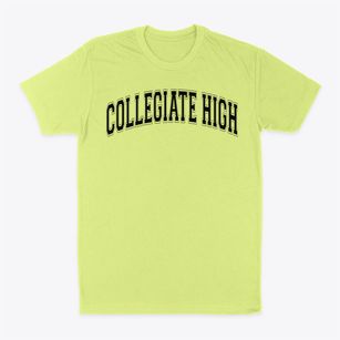 Collegiate High School Varsity Arch Classic Dad T-Shirt